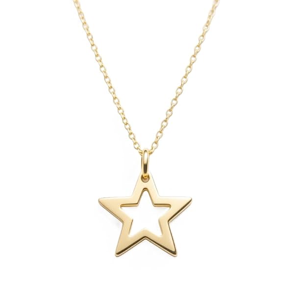 Salia Gold Paris Collier – or 18 carats – 1.25 gr – Étoile ajourée cinq branches, éclat délicat – Valeur refuge – Idée cadeau – poinçon 750 – Certificat d’authenticité